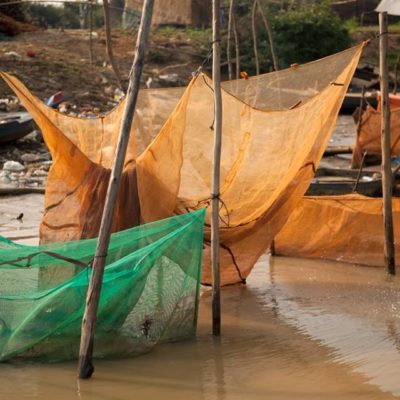 Nylon netting - Fishing